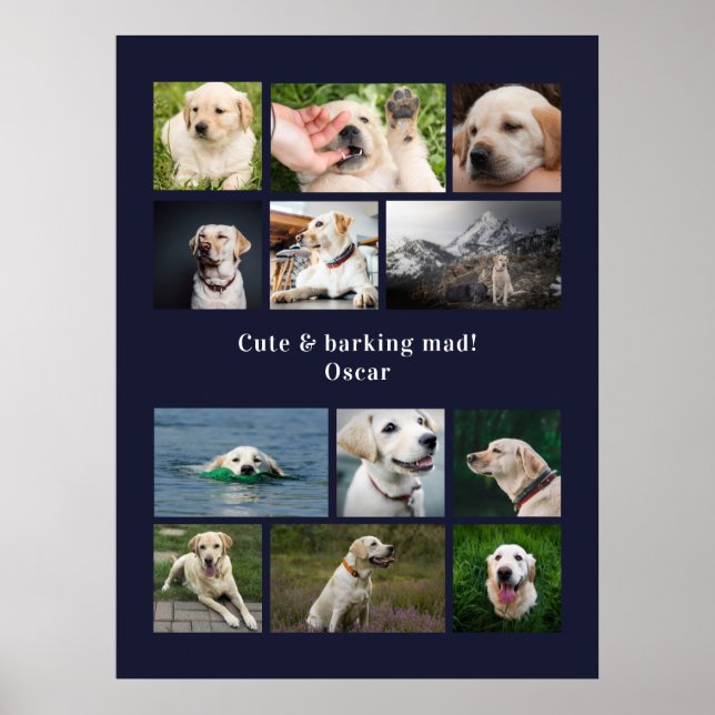 Modern 12-hund personlig-kollage poster (Framsidan)