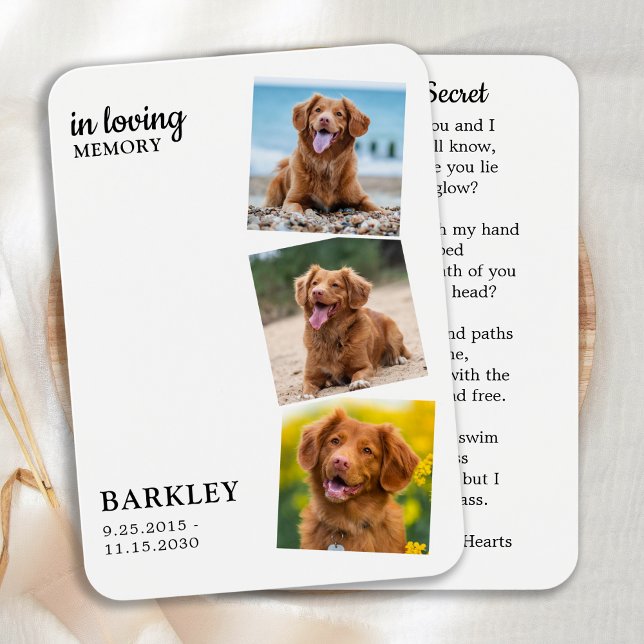 Modern 3-fotosättningsportet för Keepsak Prayer-ko Visitkort (Skapare uppladdad)