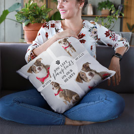 Modern 4 fotokollage | Hund av svinförlust/Katt Kudde