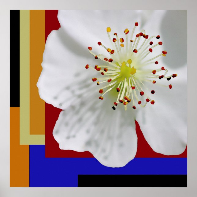 Modern abstrakt blomkonst i fint utförande för vår poster (Framsidan)