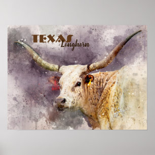 Modern abstrakt för foto för Texas Poster