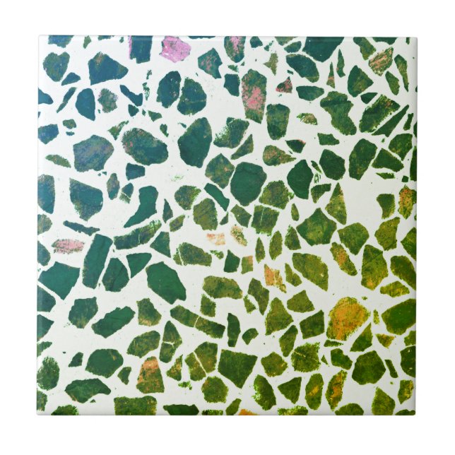 Modern Abstrakt Grönt Marble Stone Terrazzo Kakelplatta (Framsidan)