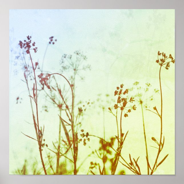 Modern Abstrakt Soft Pastel Wildblommor Poster (Framsidan)