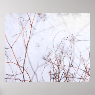 Modern Abstrakt Winter Wildblommor i Snö Poster
