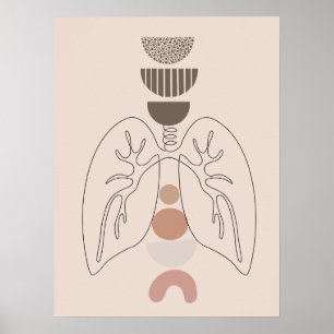 Modern anatomi - medicinsk väggkonst poster