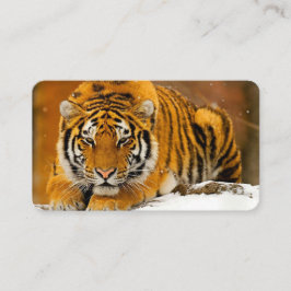 Modern Animal Art Card Set – Tiger & Fantasy Bird Visitkort