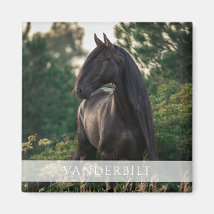 Modern Anpassningsbar Equestrian Horse Namn Photo Magnet