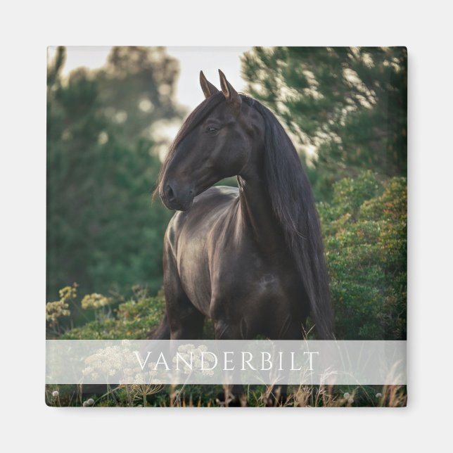 Modern Anpassningsbar Equestrian Horse Namn Photo Magnet (Framsidan)