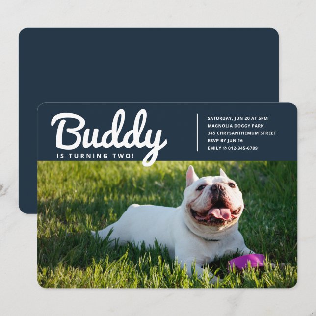 Modern Anpassningsbar Pet Puppy-Hund - födelsedag Inbjudningar (Fram/baksida)