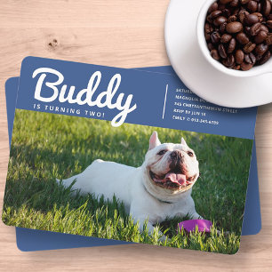 Modern Anpassningsbar Pet Puppy Hund Photo Birthda Inbjudningar