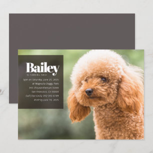 Modern Anpassningsbar Puppy Hund Foto födelsedagsi Inbjudningar
