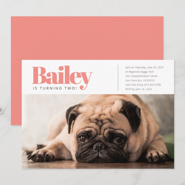 Modern Anpassningsbar Puppy-Hund - inbjudan till f (Fram/baksida)