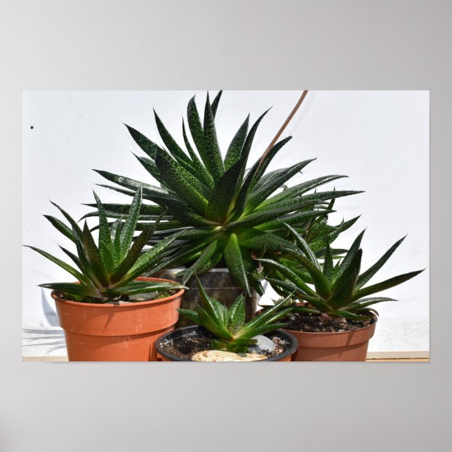 Modern, barnen och barnbarnen. poster (Framsidan)