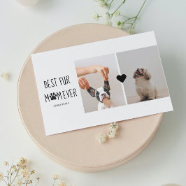 Modern bästa Päls Mamma | Hund Photo