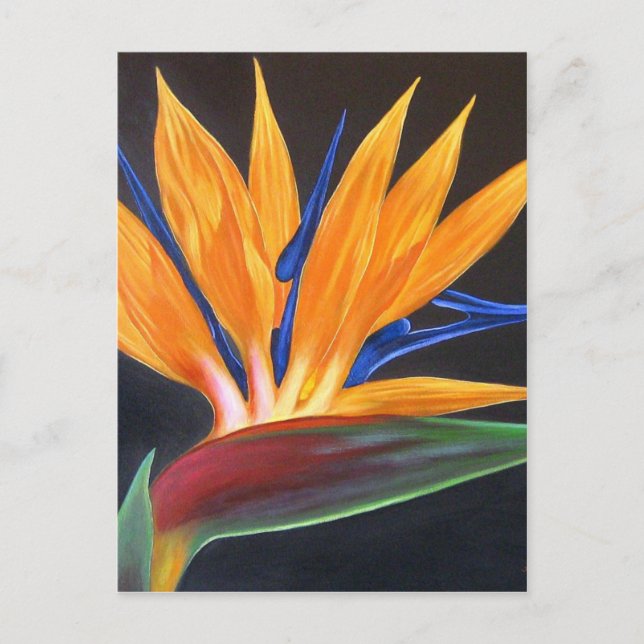 Modern Bird of Paradise Tropical Blommigt Painting Vykort (Framsida)