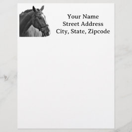 Modern Black and White Horse Brevhuvud