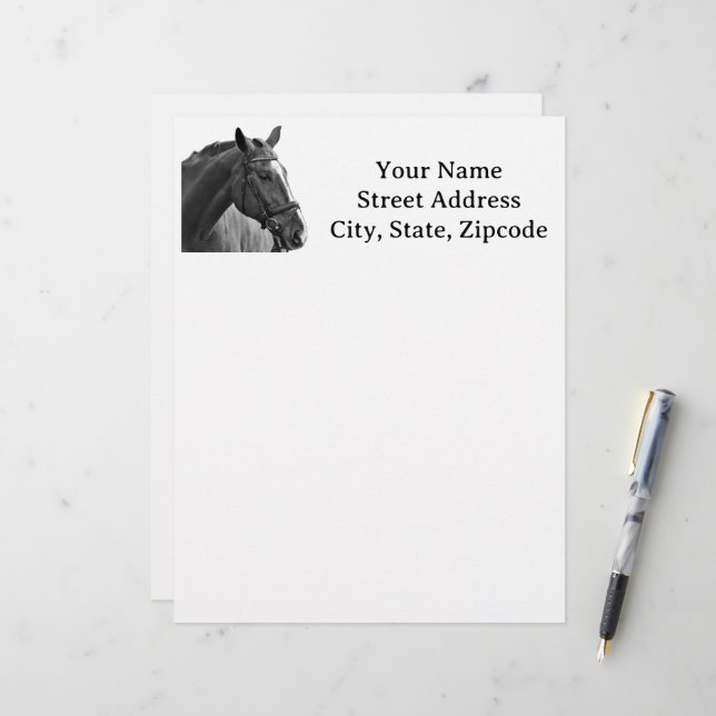 Modern Black and White Horse Brevhuvud (Fram/Back In Situ)