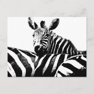 Modern Black & White Pop Art Bild Zebröder Vykort