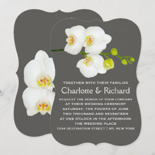 Modern Blommigt Bröllop Vita orchid Flowers Inbjudningar