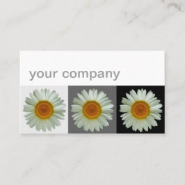 Modern blommigt för tre vitdaisy visitkort