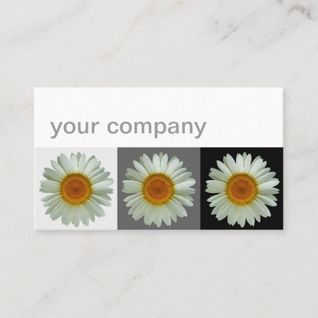 Modern blommigt för tre vitdaisy visitkort (Framsida)
