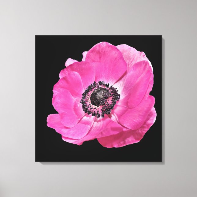 Modern Blommigt Vibrant Bright Rosa Poppy Black Canvastryck (Framsida)