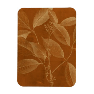 Modern botaniska VI Magnet
