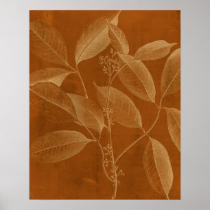 Modern botaniska VI Poster