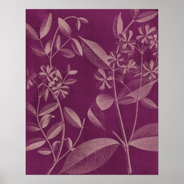 Modern Botany III Poster (Framsidan)