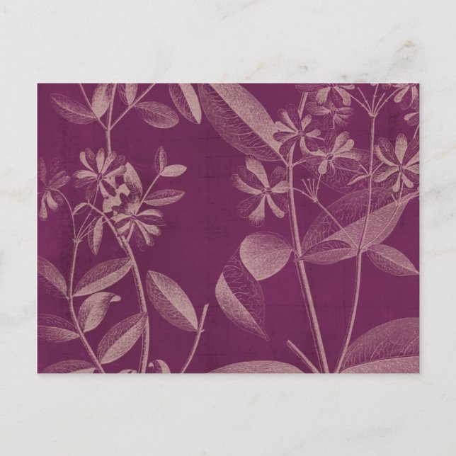 Modern Botany III Vykort (Framsida)