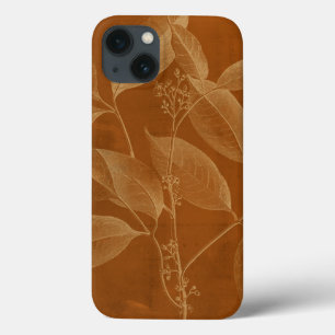 Modern Botany VI
