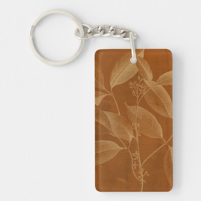 Modern Botany VI (Framsidan)
