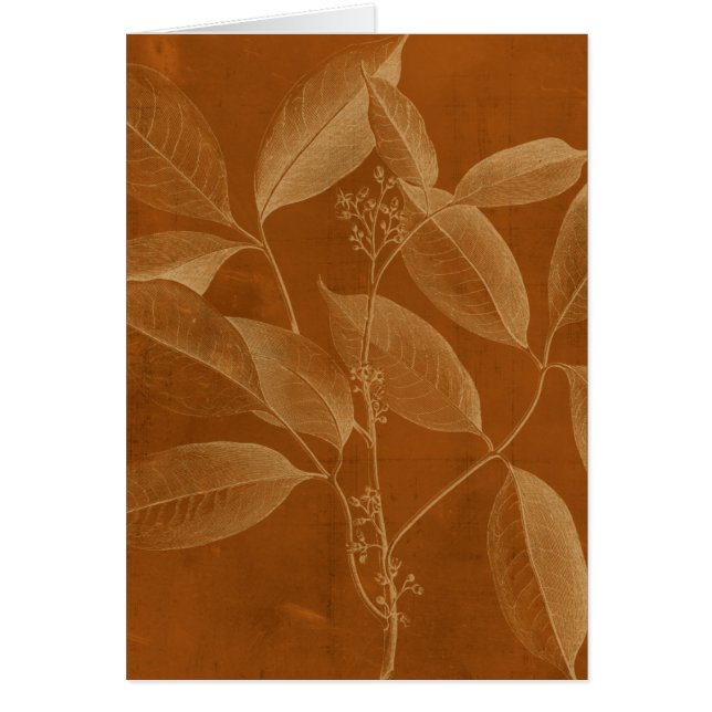 Modern Botany VI Hälsningskort (Framsidan)