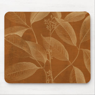 Modern Botany VI Musmatta