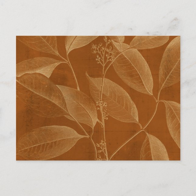 Modern Botany VI Vykort (Framsida)