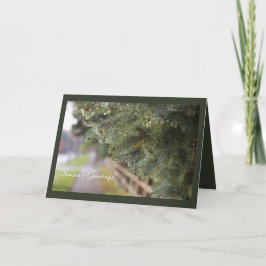 Modern Bright Shimming Evergreen Nål Helgdag Kort