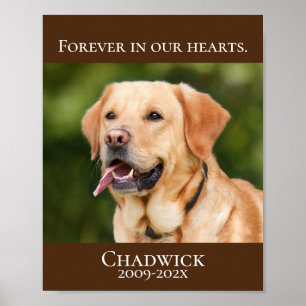 Modern Brown Lägg till bild Pet Memorial Poster