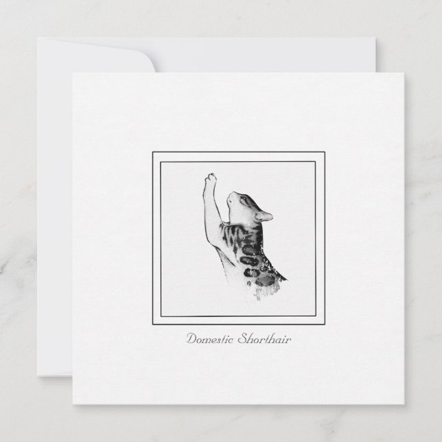 Modern Cat Chalk & Charcol Black and White Sketch Anteckningskort (Framsida)