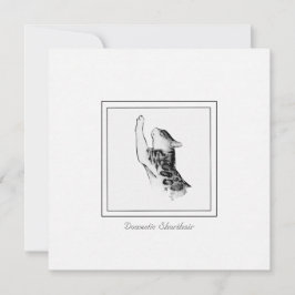 Modern Cat Chalk & Charcol Black and White Sketch Anteckningskort