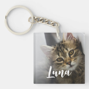 Modern Chic Cat Photo Namn