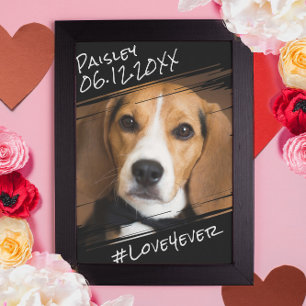 Modern Chic Elegant Enkel Svart Husdjur Hund Minne Poster