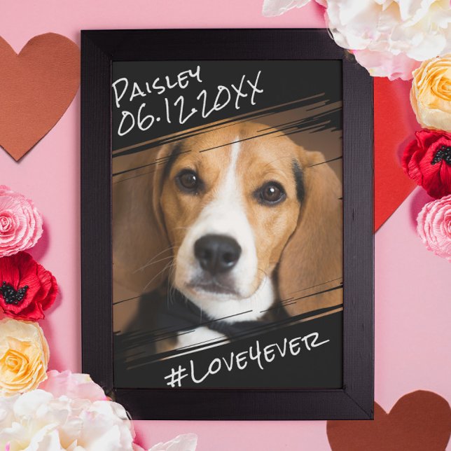 Modern Chic Elegant Enkel Svart Husdjur Hund Minne Poster (Skapare uppladdad)