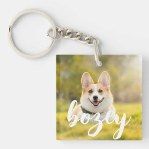 Modern Chic Pet-foto med enkel Elegant