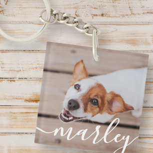 Modern Chic Pet-foto med enkel Elegant