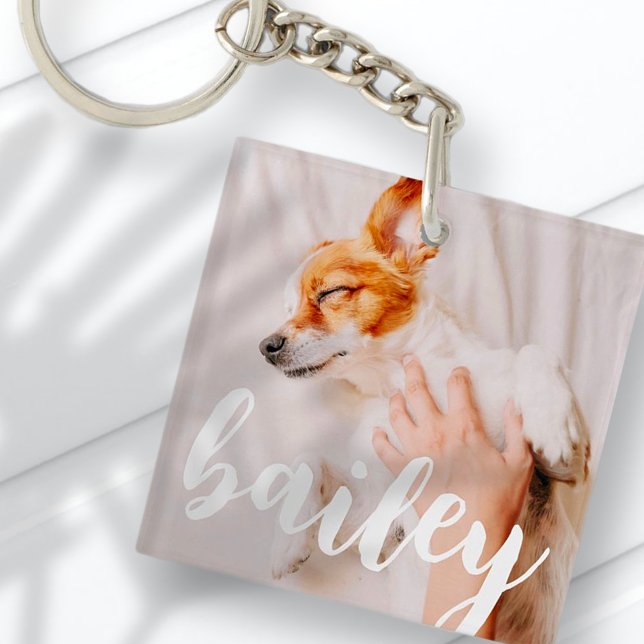 Modern Chic Pet-foto med enkel Elegant (Skapare uppladdad)