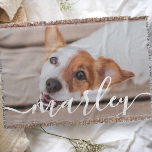 Modern Chic Pet-foto med enkel Elegant Filt