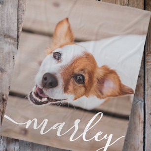 Modern Chic Pet-foto med enkel Elegant Fleecefilt
