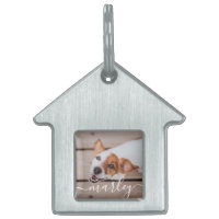 Modern Chic Pet-foto med enkel Elegant