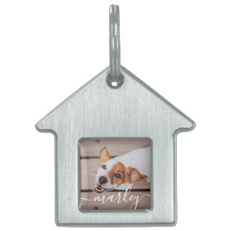 Modern Chic Pet-foto med enkel Elegant ID-bricka Husdjur