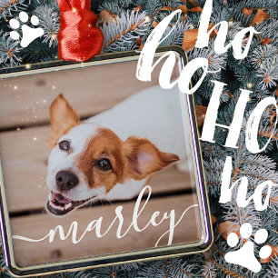 Modern Chic Pet-foto med enkel Elegant Julgransprydnad Metall